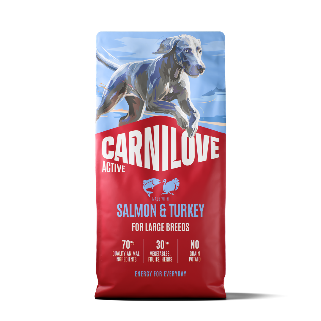 Carnilove Active croquettes pour chien adulte de grande race saumon et dinde
