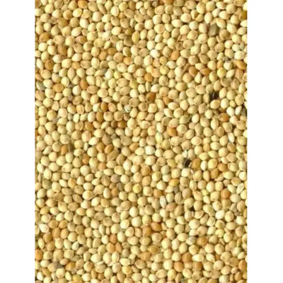 Bird-x Millet rond blanc Graines pour Oiseaux 1kg