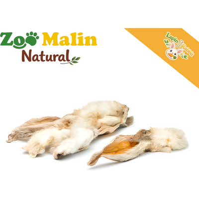 Oreille de Lapin avec Poils –