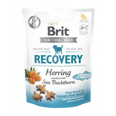 BRIT Recovery 150g