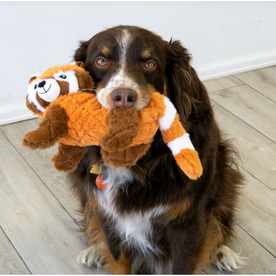 KONG Peluche Red Panda avec sifflet – Taille M