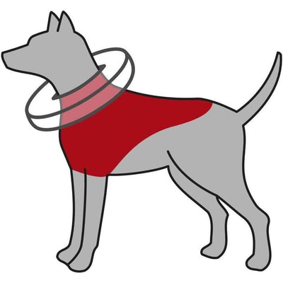 TRIXIE Collier de Protection Gonflable pour Chien Bleu Taille S/M