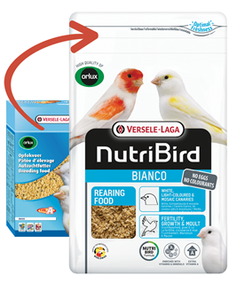 VERSELE LAGA Orlux Gold Patee Oiseaux 250g