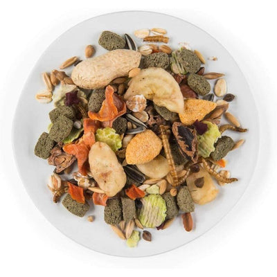 PUUR Mélange de Rats de qualité supérieure 800g