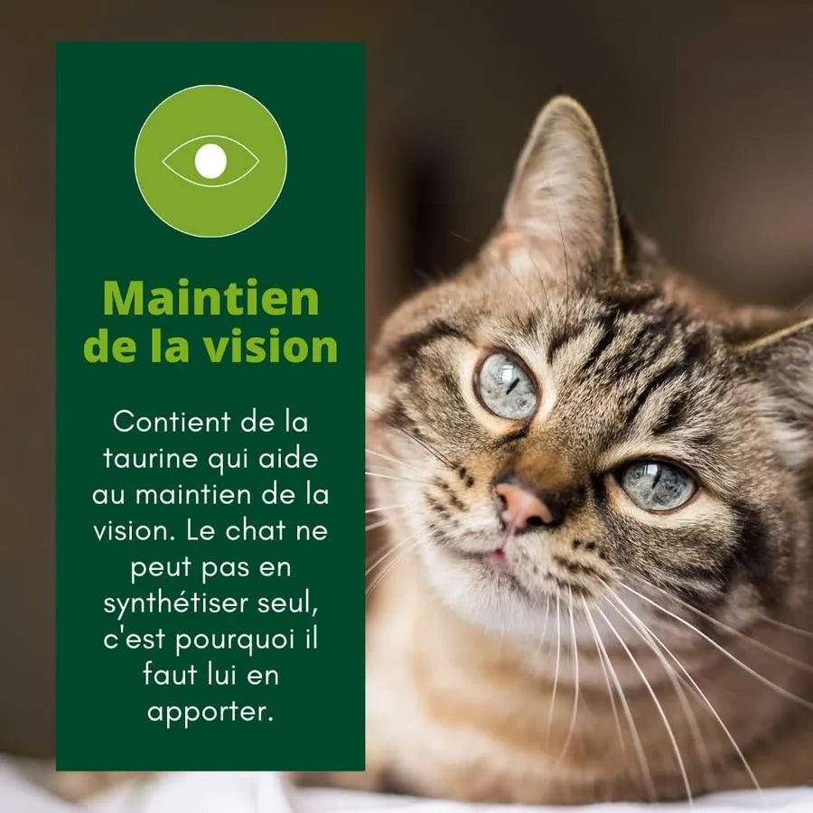 EQUILIBRE & INSTINCT Terrine pour chat âgé riche en saumon & courgettes 14x85g
