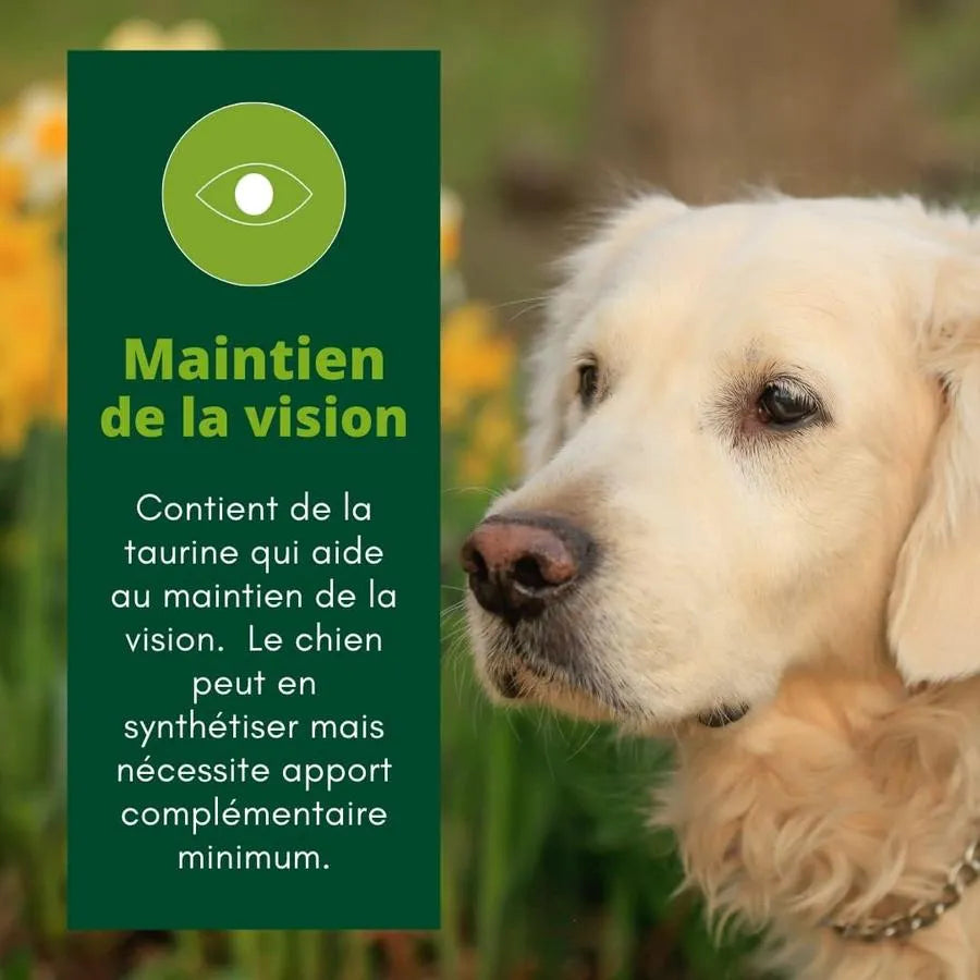 EQUILIBRE & INSTINCT Terrine pour chien âgé riche en volaille et petits pois 300g