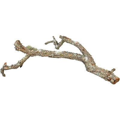 TRIXIE Tronchos mĂ©lange de branches de liĂšge 1 kg Ăž 2â10 cm 25â75 cm