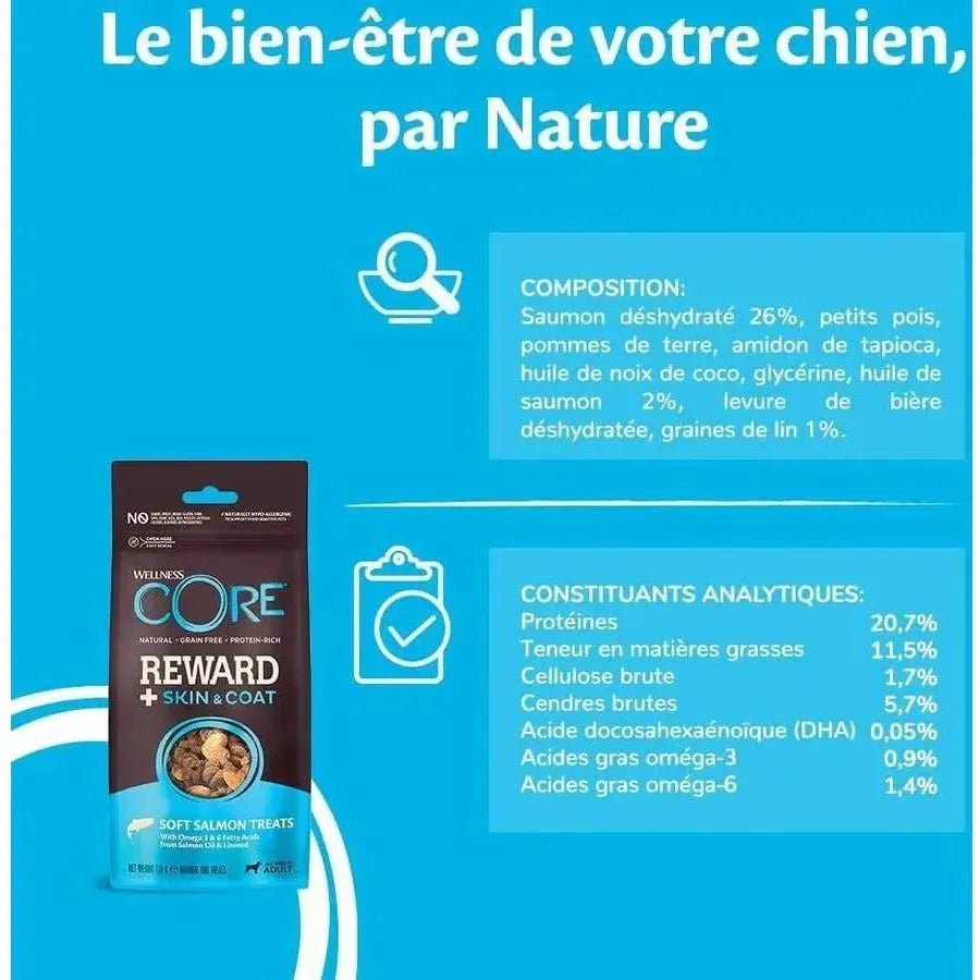 WELLNESS CORE Reward+ Friandises Chien Saumon 170g Lot de 2