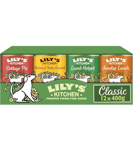 LILY'S KITCHEN Adulte Terrine Chicken Casserole Poulet Dinde et Légumes 400g