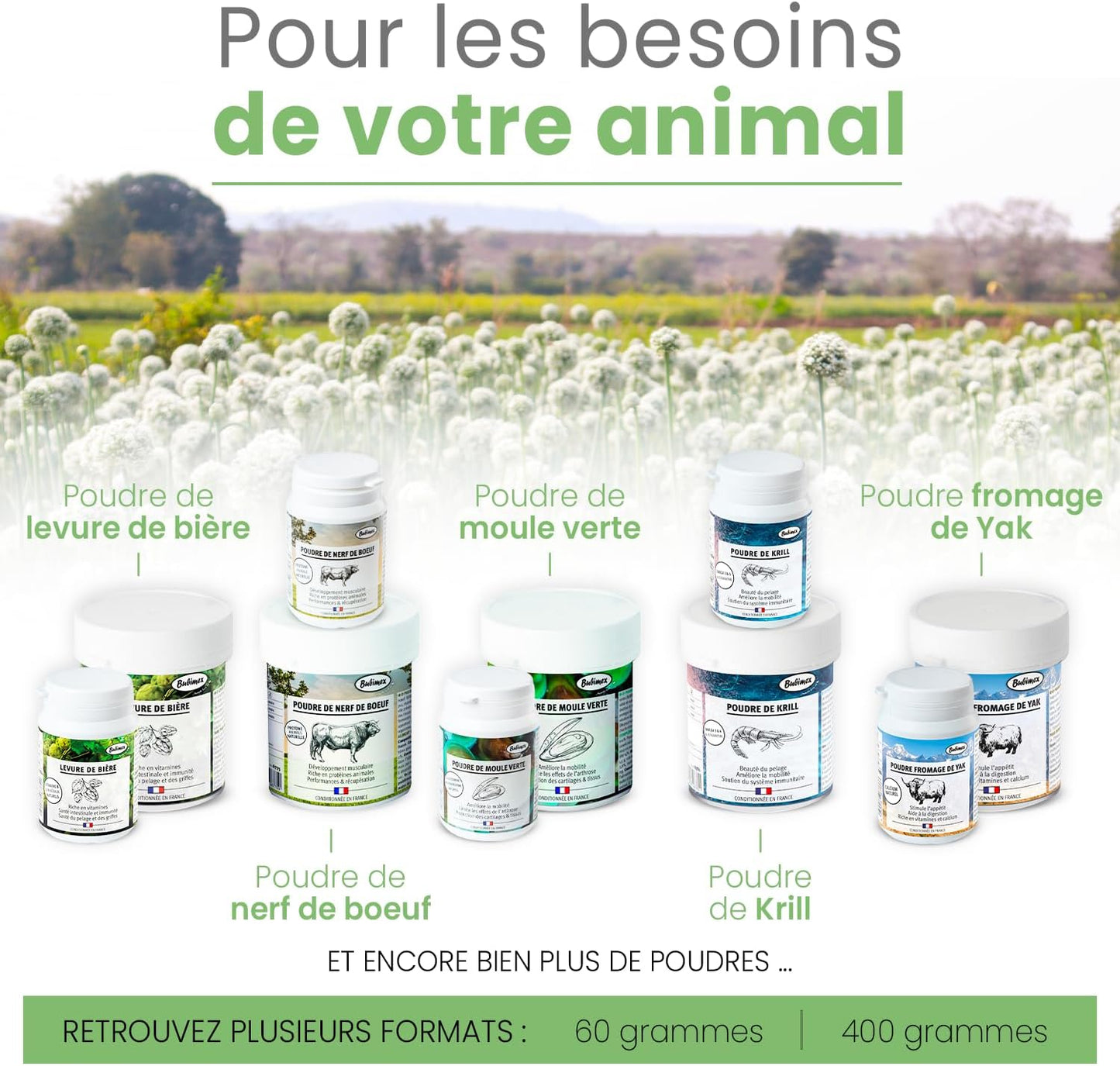 BUBIMEX Poudre de Carotte Complément Alimentaire 100% Naturel Chiens et Chats 60g