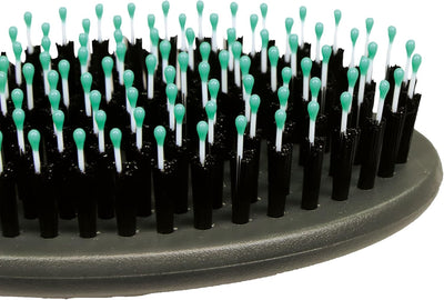 ZOLUX Brosse bi-matière ANAH Taille L Multicolore