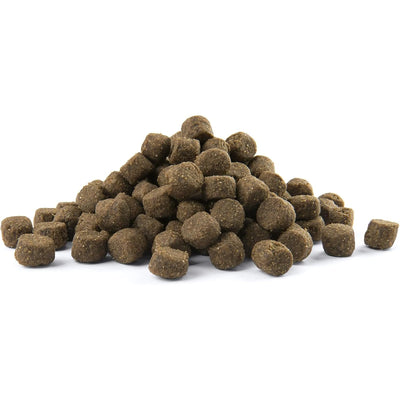 OPTI LIFE Adult Skin Care Medium & Maxi Saumon 12.5kg