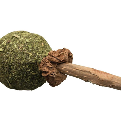 TRIXIE Sucette au Matatabi 11 cm