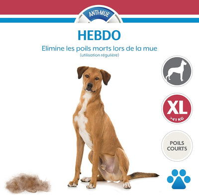 FURMINATOR Outil Undercoat deShedding Chien XL Poils Courts