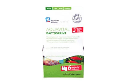BACTOSPRINT 3 x 10ml