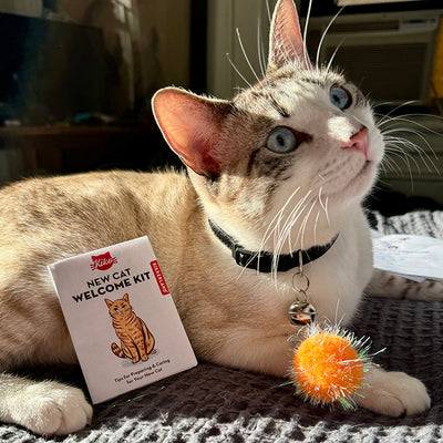 KIKKERLAND Kiko New Cat Welcome Kit Kit d'accueil pour chaton