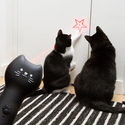 KIKKERLAND Kiko Rechargeable Pounce&Play Laser pour Chats 3 Modes 5 Formes Rechargeable