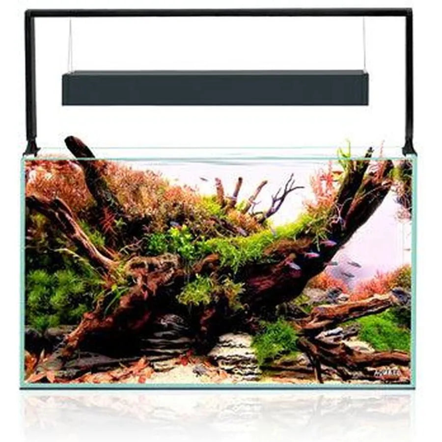 AQUARIUM ULTRASCAPE 60 SET FOREST 64L AQUAEL