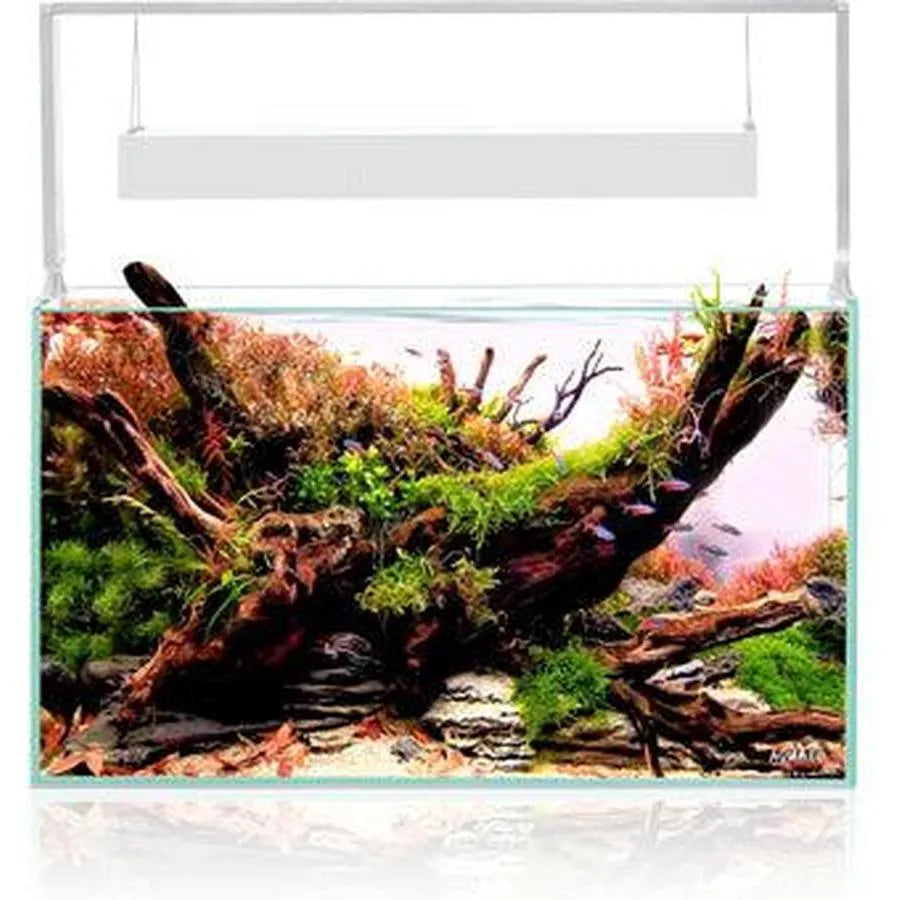 AQUARIUM ULTRASCAPE 60 SET SNOW 64L AQUAEL