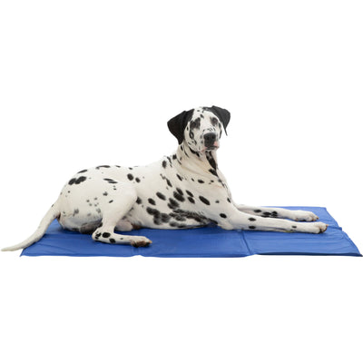 TRIXIE Tapis rafraîchissant pour chien et chat 110 × 70 cm Bleu