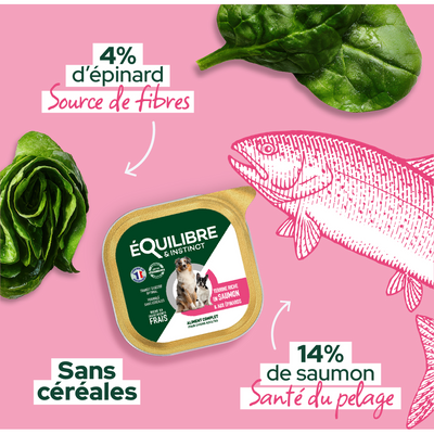 EQUILIBRE & INSTINCT Terrine pour chien adulte riche en saumon & épinards 300g