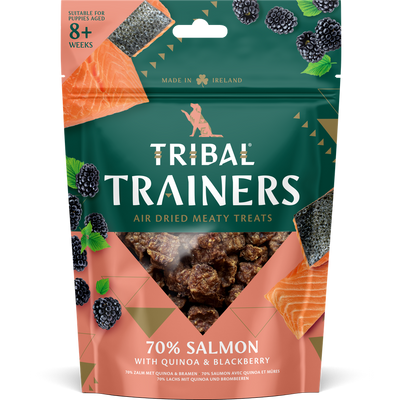 TRIBAL TRAINERS Salmon & Blackberry 80g
