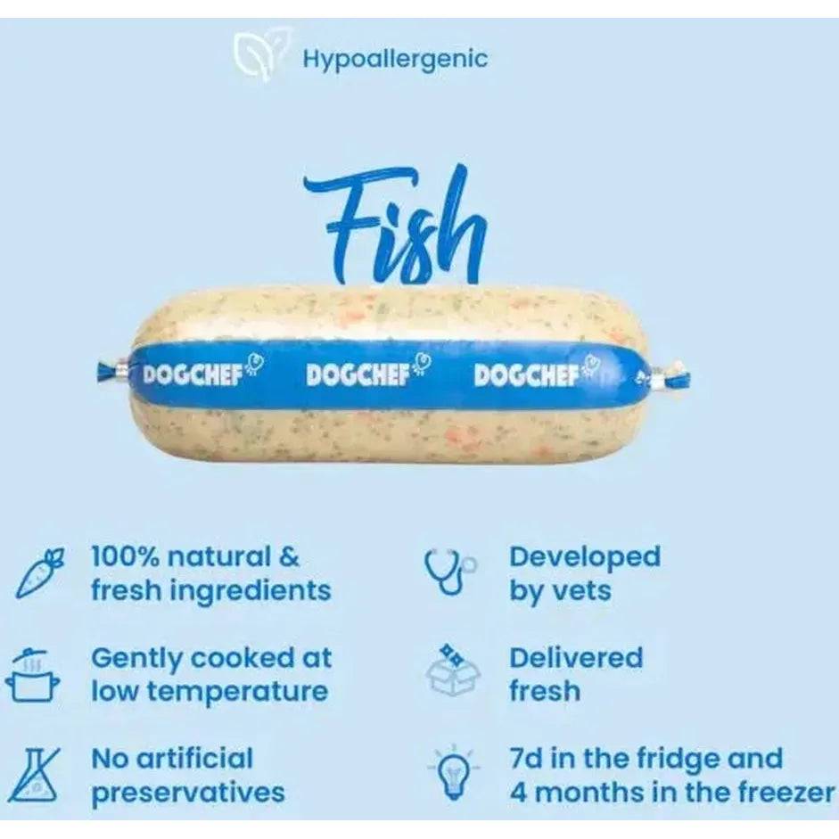 DOG CHEF Pâtée Chien au Poisson 400 g – Repas Frais Cuisiné Sans Additifs