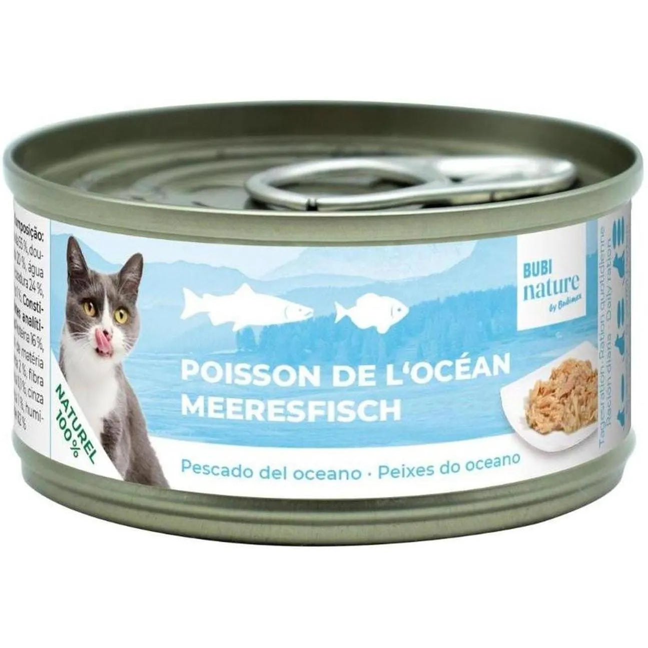 Bubi nature poisson de l'océan