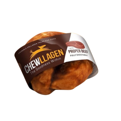 Anneau collagene Poulet