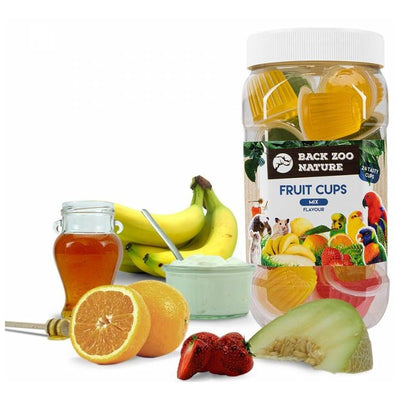 GRIZO Coupe de Fruit Mix 24 Pièces Saveurs Assorties Oiseaux