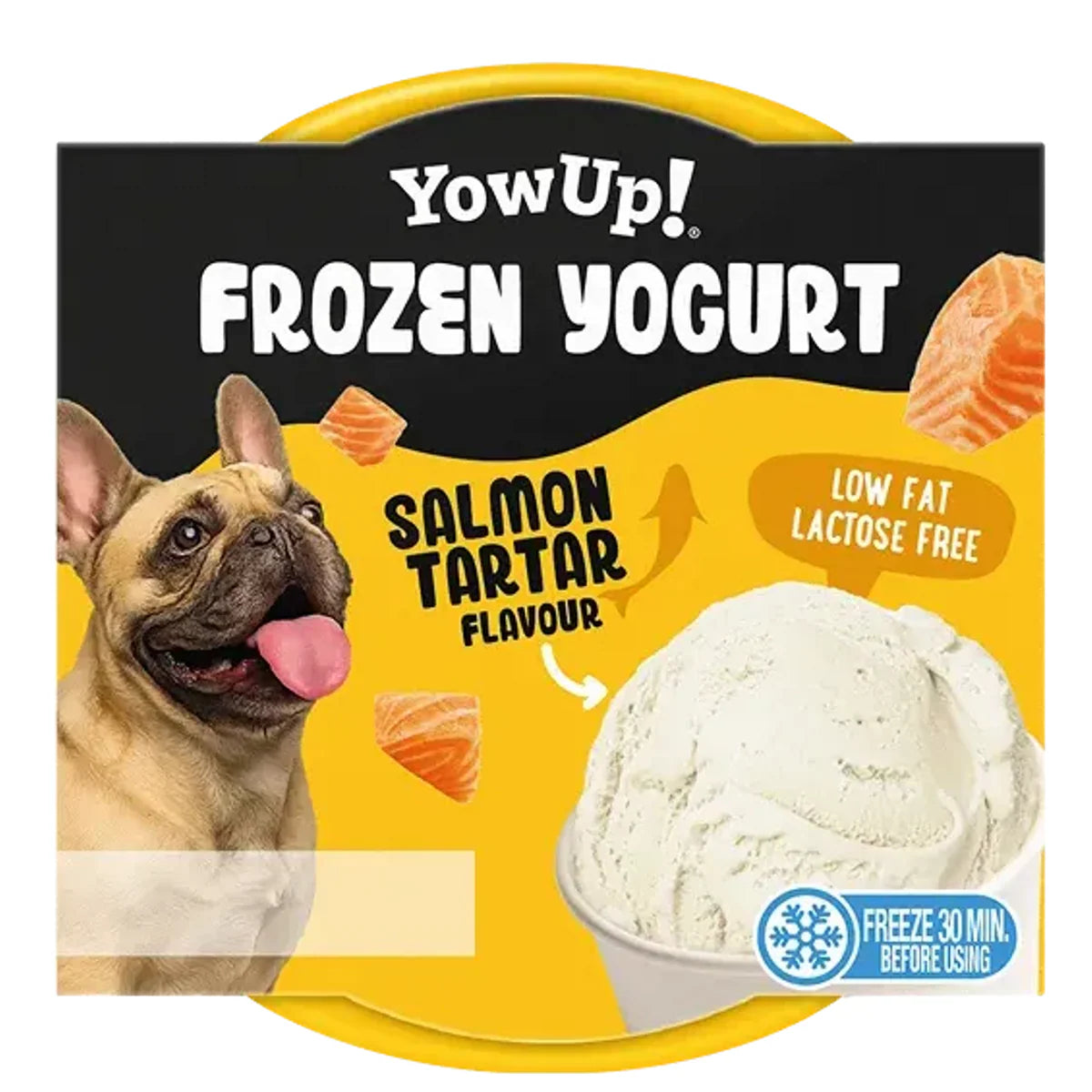 YOWUP Yaourt glacé Saumon Tartare pour chien