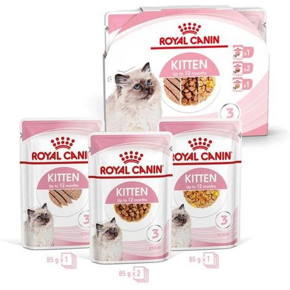ROYAL CANIN Kitten Pack 4x85g Chunks in Gravy