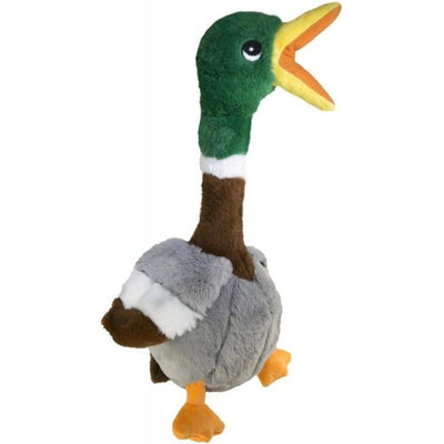 KONG Shakers Honkers Jouet pour chien Peluche à secouer avec couineur et cou texturé
