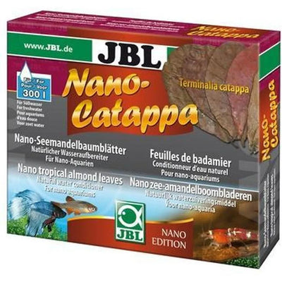 Nano Catappa feuille de badamier