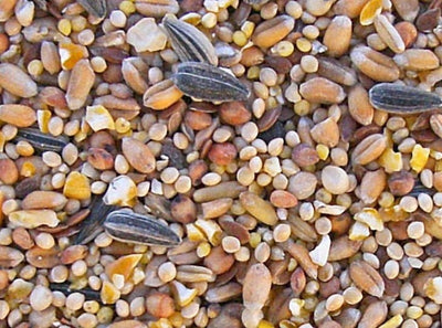 ZOOMALIN Oiseaux du Ciel Mélange de Graines 5kg
