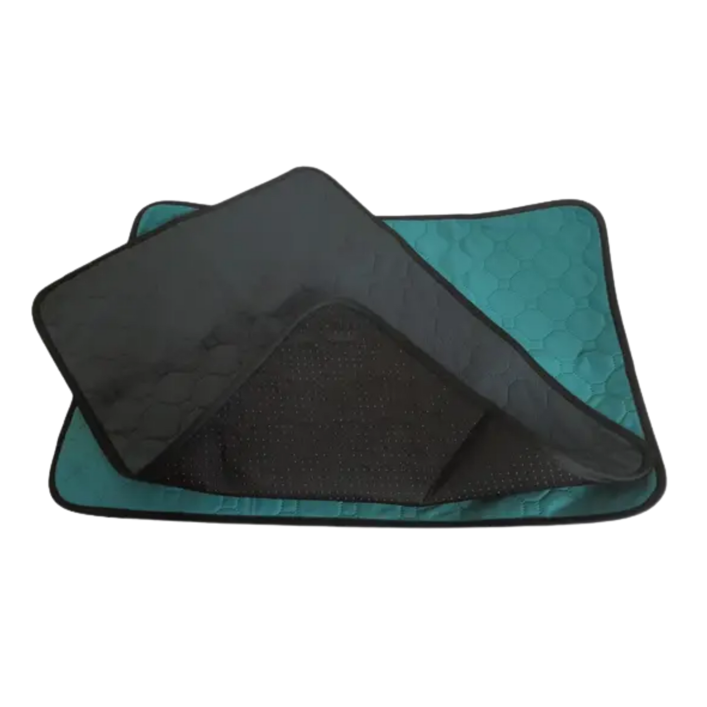 ZOOMALIN 3x Tapis d'Entraînement Lavable Patsy Vert Taille M 69x41 cm