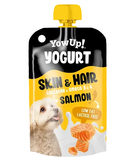 YowUp Yaourt Skin & Hair au saumon pour chien 115 g