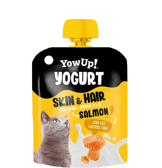 YowUp Yaourt Skin & Hair au saumon pour chat 85 g