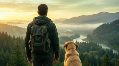 Comment voyager avec son chien sereinement en 2026