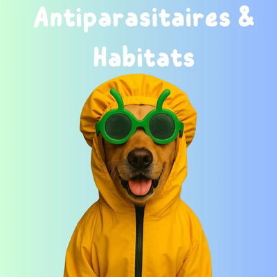 Antiparasitaire Chien : Anti-puces / Anti-tiques