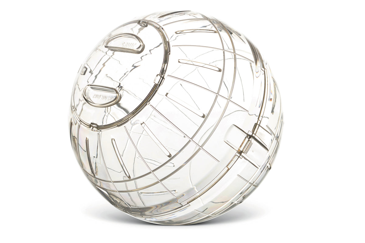 SAVIC Runner Ball 18cm Multicolore