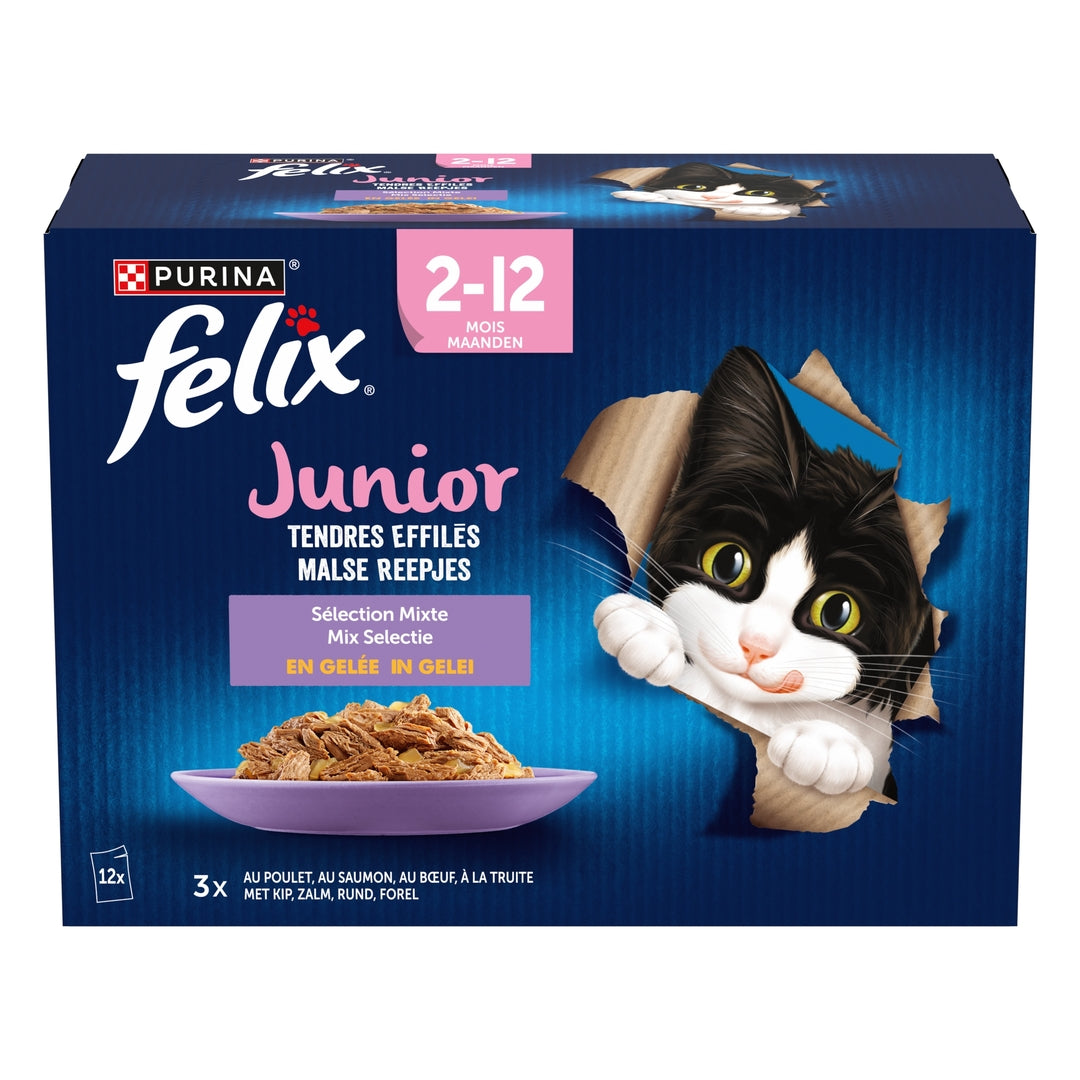 FELIX Tendres Effilés Junior en Gelée Sélection Viandes et Poissons pour Chaton 12x85g