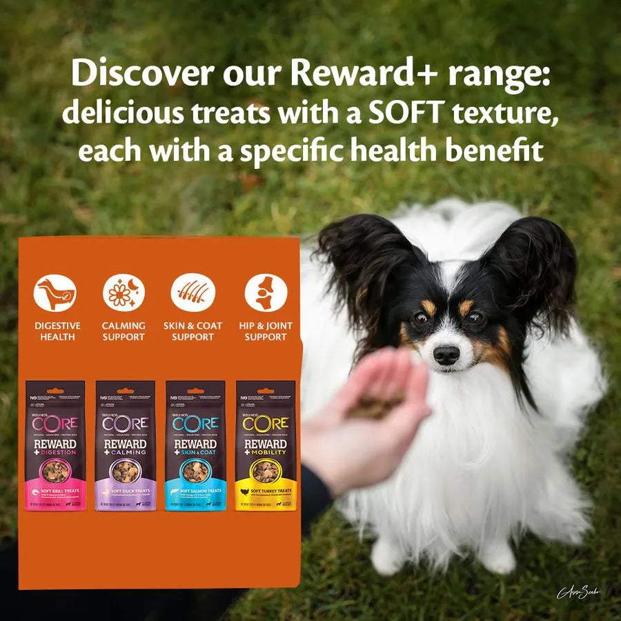 WELLNESS CORE Reward+ Treats Canard Calmant pour Chien Sans Céréales 170g