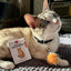 KIKKERLAND Kiko New Cat Welcome Kit Kit d'accueil pour chaton