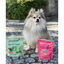 MARLY ET DAN Freeze Dried 100% Saumon Peau & Pelage Chien 50g