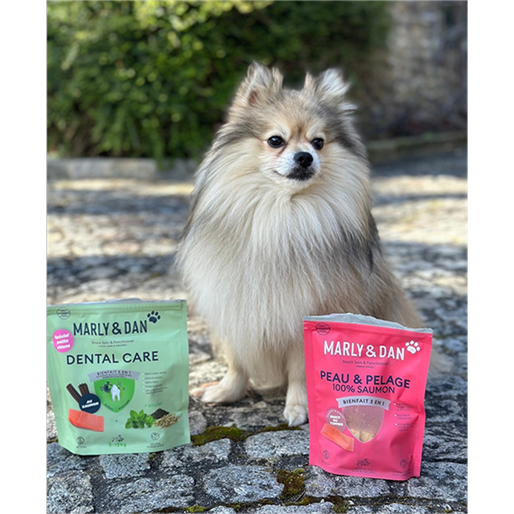 MARLY ET DAN Freeze Dried 100% Saumon Peau & Pelage Chien 50g