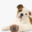 KIKKERLAND Kobe Sheep Dog Ball Jouet pour chien