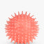 KIKKERLAND Piggy Dog Ball Balle pour Chien Parfumée Bacon Squeak Long 9cm