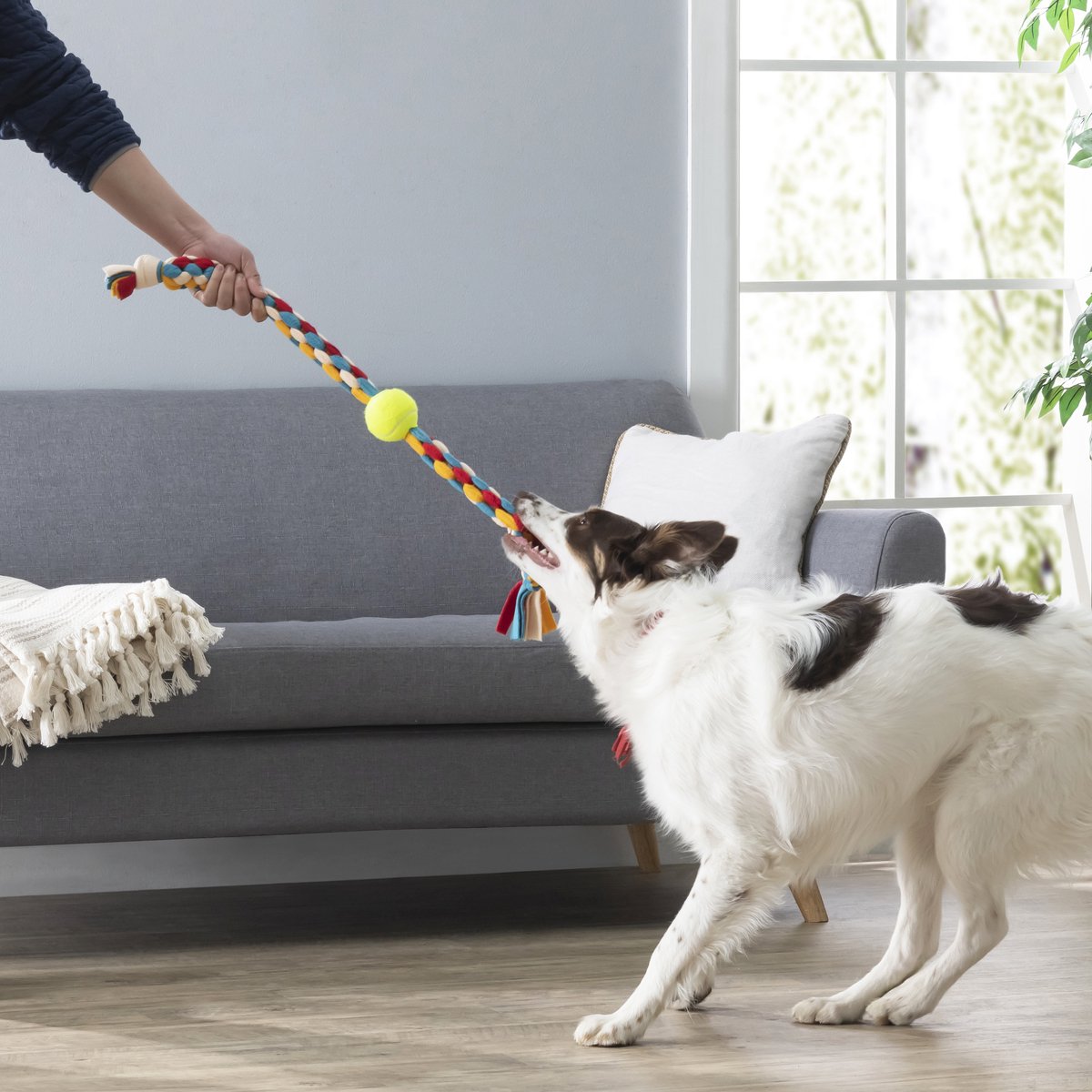 KIKKERLAND Kobe Sheep Dog Ball Jouet pour chien
