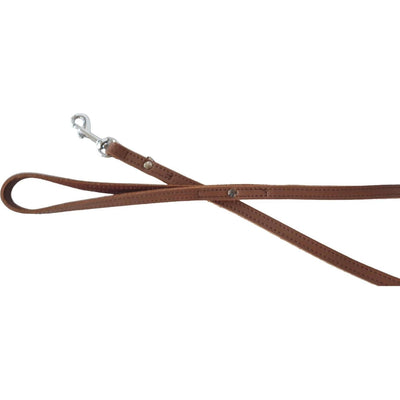 ZOOMALIN Laisse en Cuir Aloké pour Chien Grandes Races 1,60m x 16mm